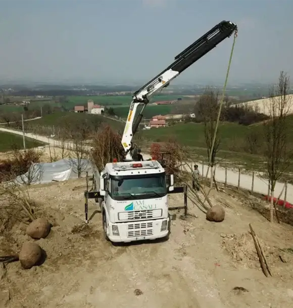 AM CASALI - Affidati a noi per il rinnovo della tua area verde - Pavia - lodi - milano - AM Casali Piscine Giardini a Lodi Pavia Piacenza Milano Crema Lombardia