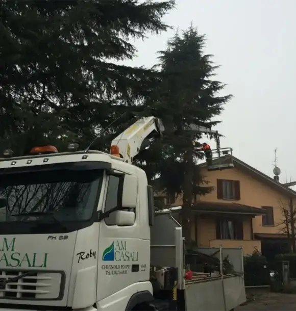 AM CASALI - Affidati a noi per la realizzazione del tuo spazio esterno - Pavia - lodi - milano - AM Casali Piscine Giardini a Lodi Pavia Piacenza Milano Crema Lombardia