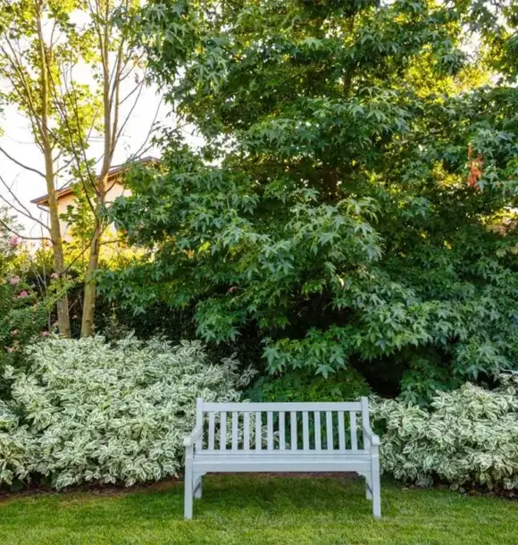 AM CASALI - Arreda da noi il tuo spazio esterno - Pavia - lodi - milano - AM Casali Piscine Giardini a Lodi Pavia Piacenza Milano Crema Lombardia