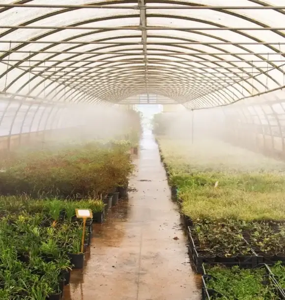 AM CASALI - Arricchisci il tuo spazio verde nel nostro vivaio - lodi - borghetto - livraga - belgioioso - AM Casali Piscine Giardini a Lodi Pavia Piacenza Milano Crema Lombardia