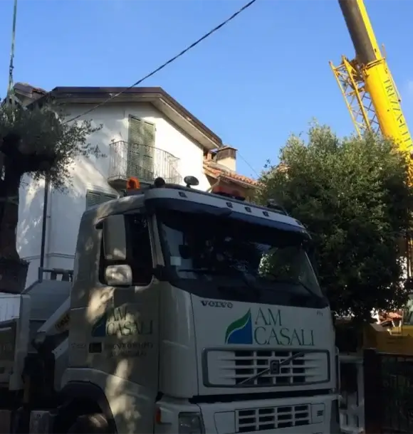 AM CASALI - Ci occupiamo di rinnovare il tuo spazio esterno - Pavia - lodi - milano - AM Casali Piscine Giardini a Lodi Pavia Piacenza Milano Crema Lombardia