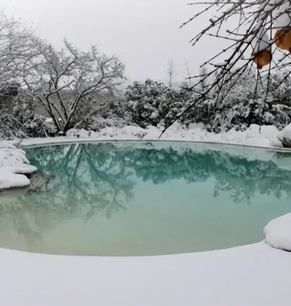 AM CASALI - Dai un volto diverso alla tua casa con le nostre piscine a forma libera - Pavia - lodi - milano - AM Casali Piscine Giardini a Lodi Pavia Piacenza Milano Crema Lombardia