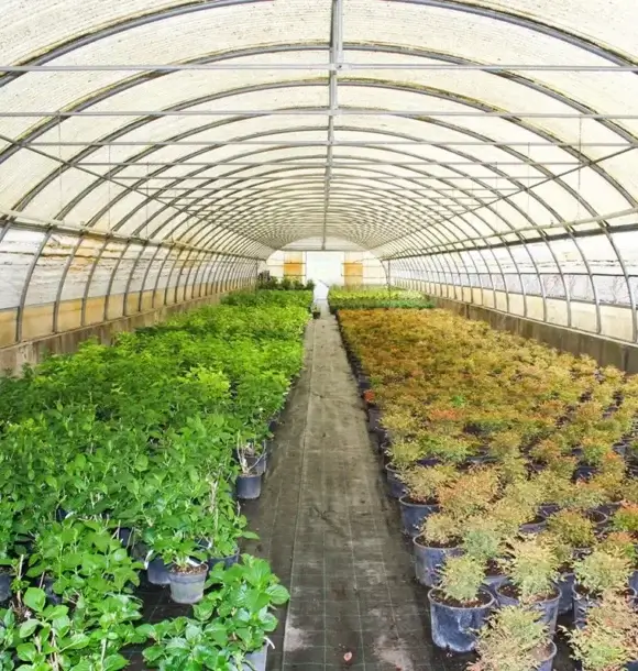 AM CASALI - Fatti consigliare dal nostro team per scegliere la soluzione perfetta per la tua area esterna - lodi - borghetto - livraga - belgioioso - AM Casali Piscine Giardini a Lodi Pavia Piacenza Milano Crema Lombardia
