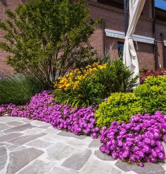AM CASALI - Fiori e piante - Pavia - lodi - milano - AM Casali Piscine Giardini a Lodi Pavia Piacenza Milano Crema Lombardia