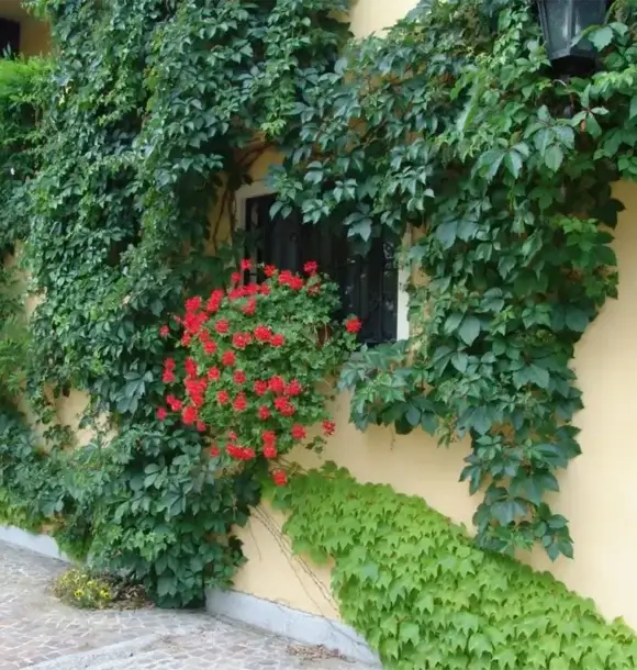 AM CASALI - Giardini privati - Pavia - lodi - milano - AM Casali Piscine Giardini a Lodi Pavia Piacenza Milano Crema Lombardia