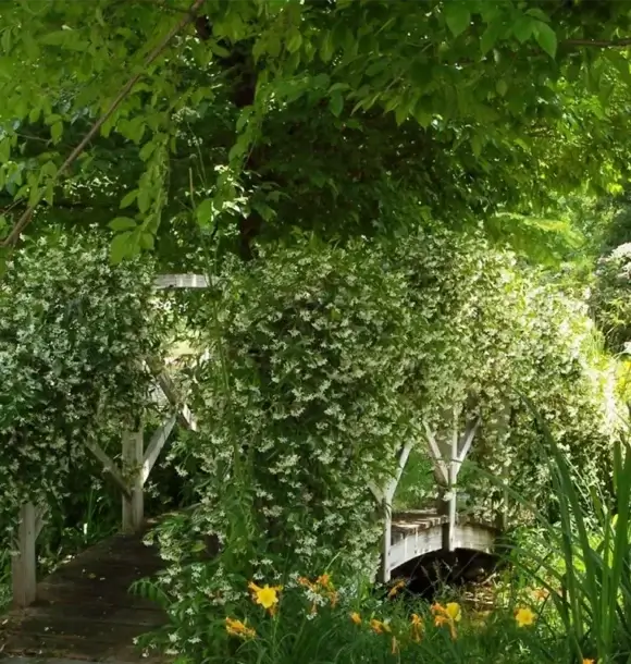 AM CASALI - Giardini pubblici - Pavia - lodi - milano - AM Casali Piscine Giardini a Lodi Pavia Piacenza Milano Crema Lombardia