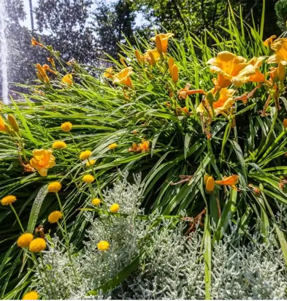 AM CASALI - Giochi d'acqua - Pavia - lodi - milano - AM Casali Piscine Giardini a Lodi Pavia Piacenza Milano Crema Lombardia