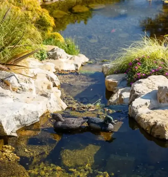 AM CASALI - Laghetto per giardino privato - Pavia - lodi - milano - AM Casali Piscine Giardini a Lodi Pavia Piacenza Milano Crema Lombardia