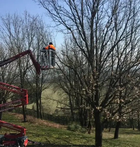 AM CASALI - Manutenzione spazi verdi pubblici e privati - Pavia - lodi - milano - AM Casali Piscine Giardini a Lodi Pavia Piacenza Milano Crema Lombardia