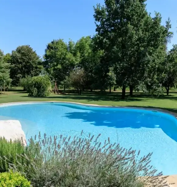 AM CASALI - Piscine a forma libera per te - Pavia - lodi - milano - AM Casali Piscine Giardini a Lodi Pavia Piacenza Milano Crema Lombardia
