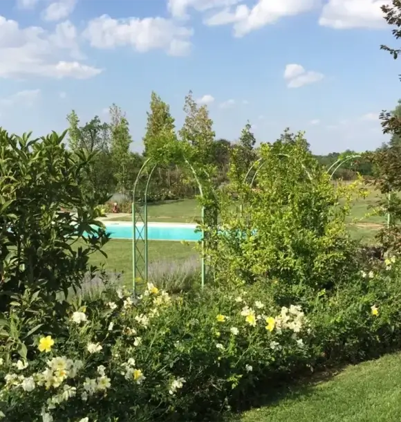 AM CASALI - Piscine e giardini - Pavia - lodi - milano - AM Casali Piscine Giardini a Lodi Pavia Piacenza Milano Crema Lombardia