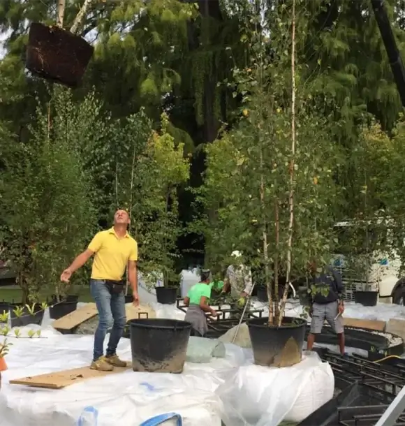 AM CASALI - Realizzazione completa del tuo giardino - Pavia - lodi - milano - AM Casali Piscine Giardini a Lodi Pavia Piacenza Milano Crema Lombardia