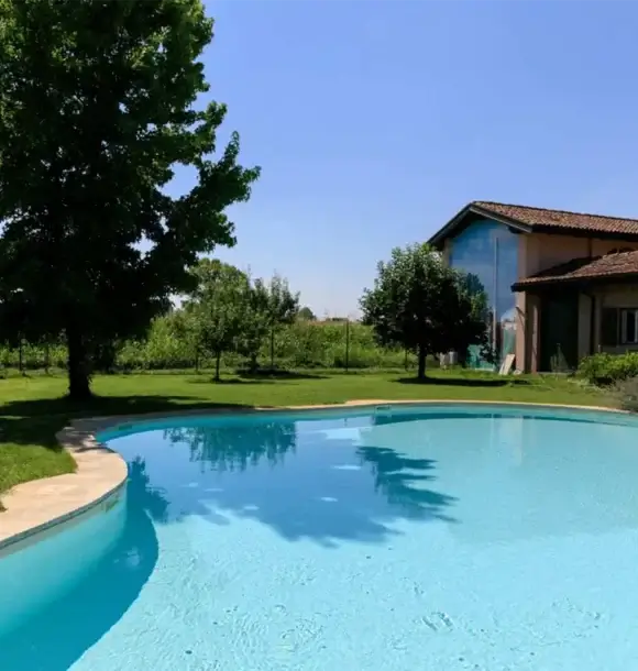 AM CASALI - Scegli la forma della tua piscina a forma libera - Pavia - lodi - milano - AM Casali Piscine Giardini a Lodi Pavia Piacenza Milano Crema Lombardia
