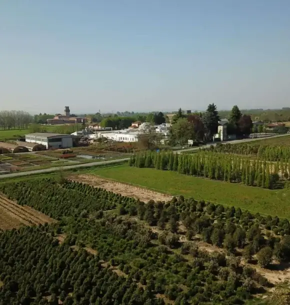 AM CASALI - Sceglici per dar vita al tuo spazio verde - Pavia - lodi - milano - AM Casali Piscine Giardini a Lodi Pavia Piacenza Milano Crema Lombardia