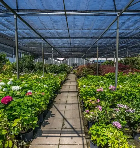 AM CASALI - Vieni a scegliere il regalo perfetto spediamo anche online - Pavia - lodi - milano - AM Casali Piscine Giardini a Lodi Pavia Piacenza Milano Crema Lombardia