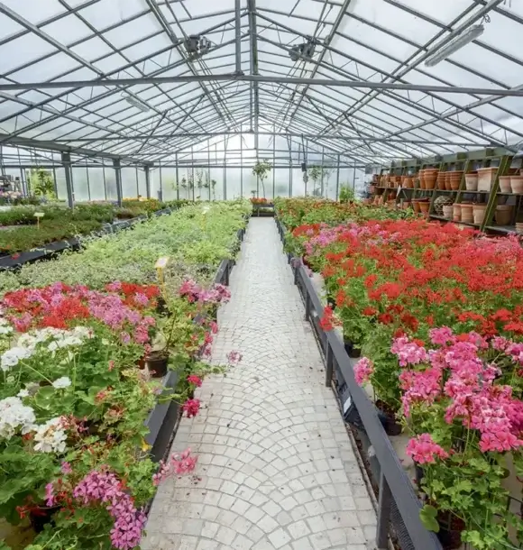AM CASALI - Vieni a trovarci e scegli il regalo perfetto - lodi - milano - AM Casali Piscine Giardini a Lodi Pavia Piacenza Milano Crema Lombardia