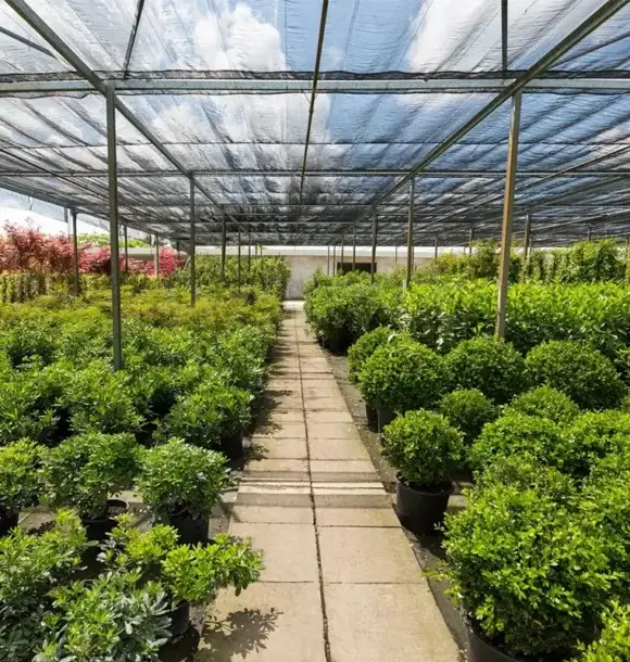 AM CASALI - Vieni a trovarci e scopri come possiamo migliorare il tuo giardino - Pavia - lodi - milano - AM Casali Piscine Giardini a Lodi Pavia Piacenza Milano Crema Lombardia