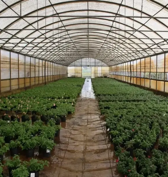 AM CASALI - Vieni a trovarci nel nostro vivaio a chignolo Po - lodi - borghetto - livraga - belgioioso - AM Casali Piscine Giardini a Lodi Pavia Piacenza Milano Crema Lombardia