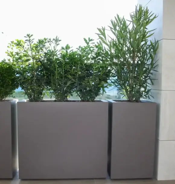 AM CASALI - affidati a noi per creare giardini pensili e terrazzi - Pavia - lodi - milano - AM Casali Piscine Giardini a Lodi Pavia Piacenza Milano Crema Lombardia