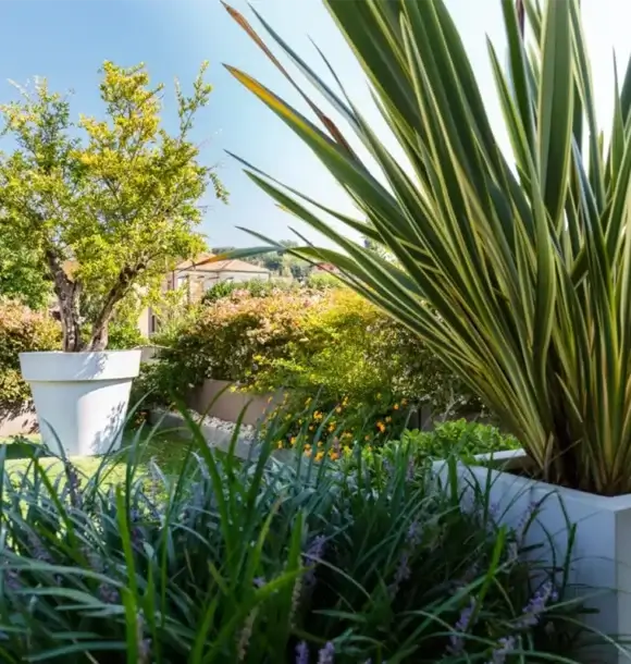 AM CASALI - affidati a noi per la creazione del tuo terrazzo - Pavia - lodi - milano - AM Casali Piscine Giardini a Lodi Pavia Piacenza Milano Crema Lombardia