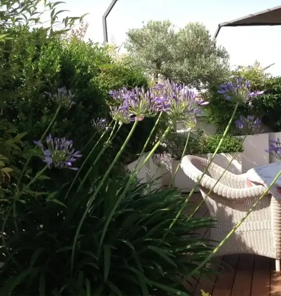 AM CASALI - affidati a noi per la realizzazione del tuo terrazzo - Pavia - lodi - milano - AM Casali Piscine Giardini a Lodi Pavia Piacenza Milano Crema Lombardia