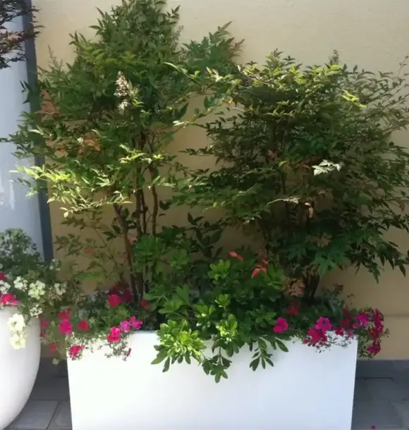 AM CASALI - affidati a noi per la realizzazione di terrazzi e giardini pensili - Pavia - lodi - milano - AM Casali Piscine Giardini a Lodi Pavia Piacenza Milano Crema Lombardia