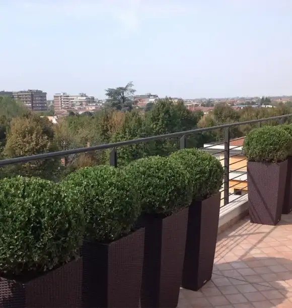 AM CASALI - ci occupiamo della realizzazione di terrazzi e giardini pensili - Pavia - lodi - milano - AM Casali Piscine Giardini a Lodi Pavia Piacenza Milano Crema Lombardia