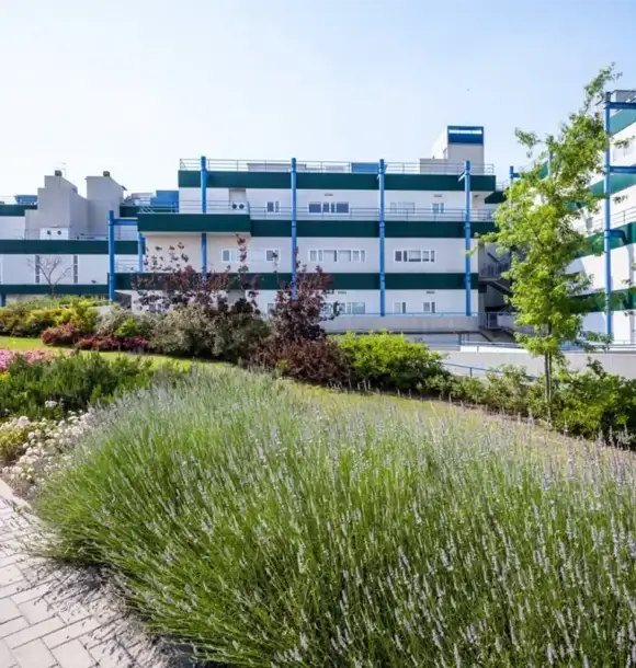 AM CASALI- contattaci per realizzare il verde pubblico - Pavia - lodi - milano - AM Casali Piscine Giardini a Lodi Pavia Piacenza Milano Crema Lombardia