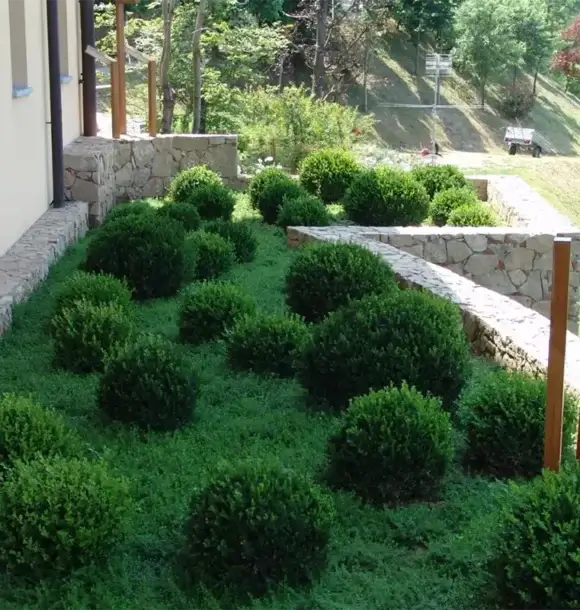 AM CASALI - realizziamo giardini pensili - Pavia - lodi - milano - AM Casali Piscine Giardini a Lodi Pavia Piacenza Milano Crema Lombardia