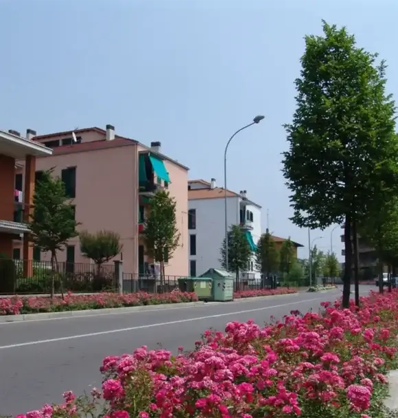 AM CASALI- volto nuovo alle strade con il nostro verde pubblico - Pavia - lodi - milano - AM Casali Piscine Giardini a Lodi Pavia Piacenza Milano Crema Lombardia