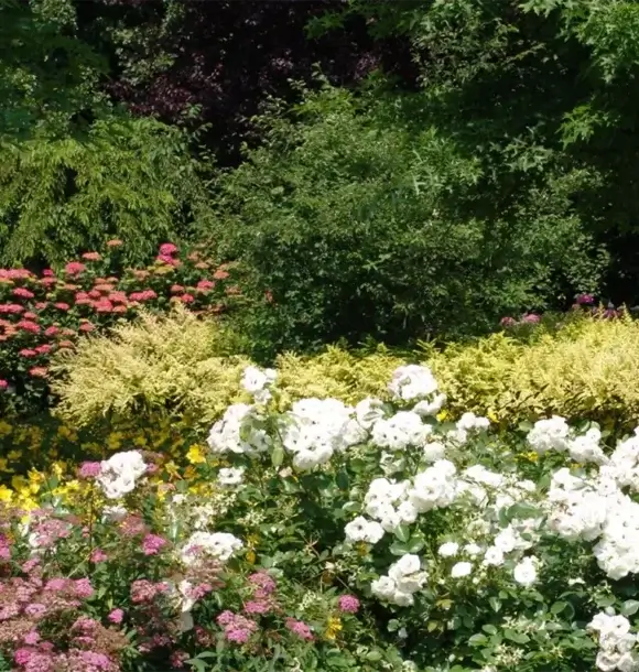 Am Casali - spazi verdi pubblici su misura per te - Pavia - lodi - milano - AM Casali Piscine Giardini a Lodi Pavia Piacenza Milano Crema Lombardia