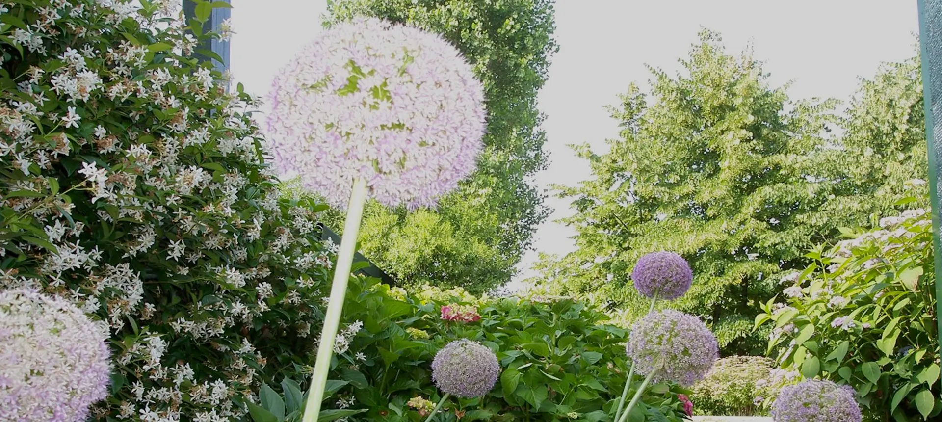 am casali green natura bio - AM Casali Piscine Giardini a Lodi Pavia Piacenza Milano Crema Lombardia